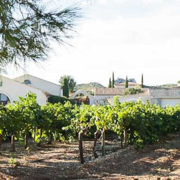 Mariage traiteur Bouche-du-Rhône Château Virant La Table de Charlotte Traiteur